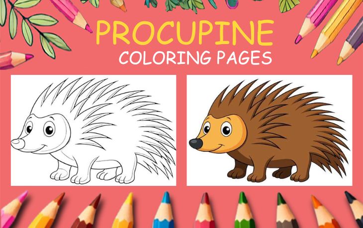 procupine coloring page