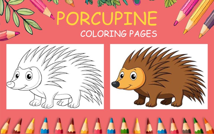porcupine coloring page