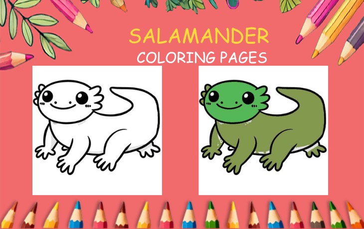 salamander coloring page