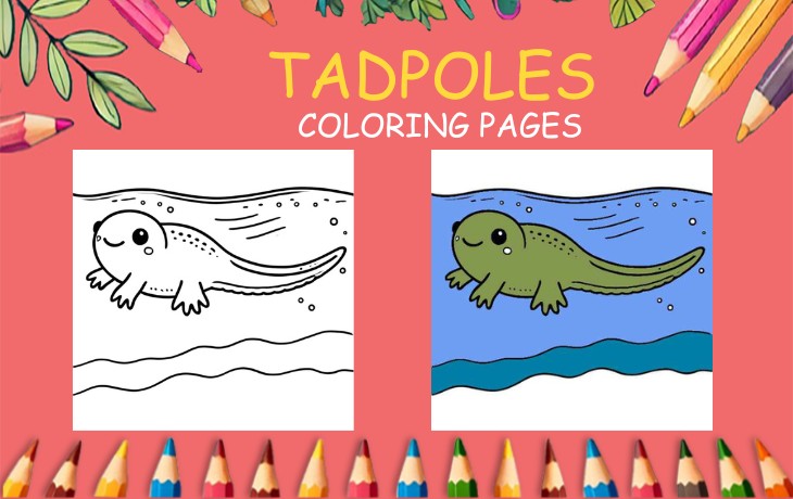 tadpoles coloring page